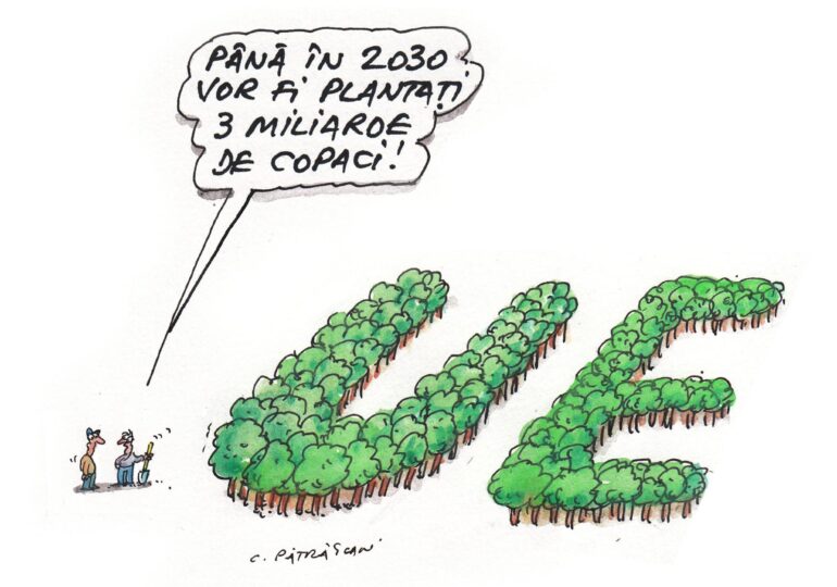 Comisia Europeană vrea să planteze 3 miliarde de copaci până în 2030