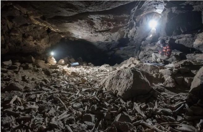 Sute de mii de oase, inclusiv umane, au fost descoperite într-o peșteră, iar acum se cunosc și ”vinovații”