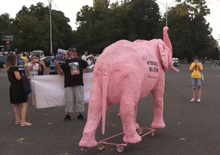 Protest cu un elefant roz în Piaţa Victoriei, la trei ani de la violenţele din 10 august (Video)