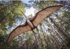 A fost descoperită cea mai detaliată fosilă de pterozaur din lume