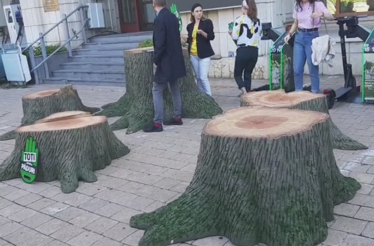 Protest cu drujbe și copaci tăiați la Ministerul Mediului: Tensiuni între Tánczos Barna și manifestanți (Foto&Video)
