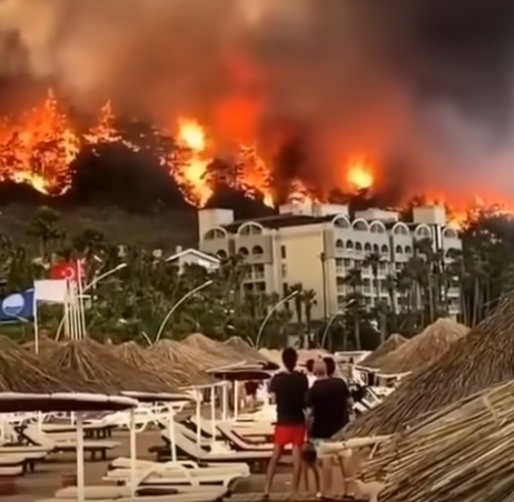 Incendii devastatoare în Turcia, Grecia și Italia. Turiștii și localnicii au fost evacuați cu bărcile din calea flăcărilor (Galerie video)