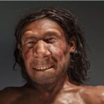 Chipul unui neanderthalian care a trăit acum 70.000 de ani a fost reconstruit, inclusiv tumoarea pe care o avea (Video)