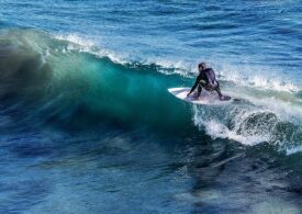 Un surfer a murit după ce a fost mușcat de rechin, pe o plajă din Australia