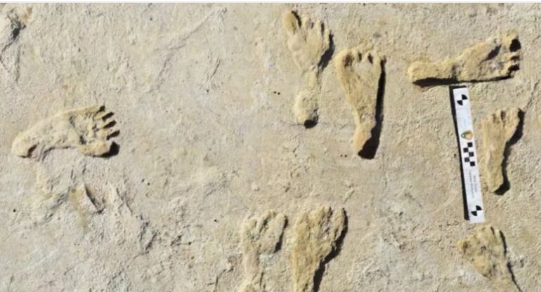 Mai multe urme fosilizate arată că oamenii au ajuns în America de Nord mult mai devreme decât se credea