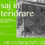 Vernisaj. Land-art, instalație și performance în Parcul Natural Văcărești