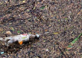Coca-Cola e cel mai mare poluator cu plastic din lume, potrivit raportului anual al Greenpeace