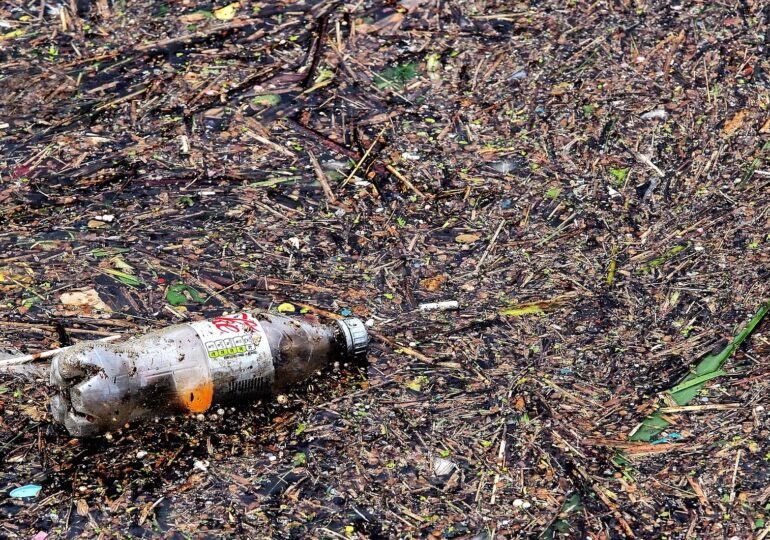 Coca-Cola e cel mai mare poluator cu plastic din lume, potrivit raportului anual al Greenpeace