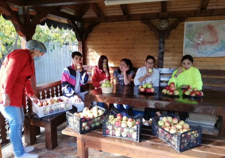 O femeie de 90 de ani din Vrancea a donat patru tone de mere pentru copiii şi adulţii instituţionalizaţi
