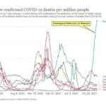 Octavian Jurma: Siguranța sanitară va deveni mai importantă decât siguranța militară. Imaginea României va fi puternic afectată de cum administrăm pandemia