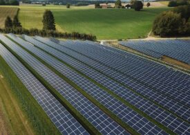Electrica vrea să cumpere cinci centrale fotovoltaice cu 35 de milioane de euro