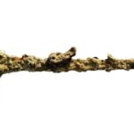 O sabie de 900 de ani, aparținând unui cavaler cruciat, a fost descoperită în Israel