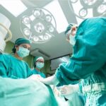 Progres medical uriaș: Un rinichi de porc a fost transplantat cu succes la om