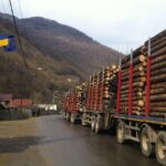 Material lemnos în valoare de peste 239.000 lei confiscat de poliţişti în doar trei zile, după 22 de controale