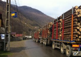 Material lemnos în valoare de peste 239.000 lei confiscat de poliţişti în doar trei zile, după 22 de controale