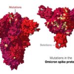 Omicron este acum tulpina dominantă în Irlanda. Marea Britanie are peste 12.000 de cazuri în 24 de ore