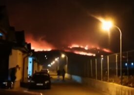Incendiu uriaș de vegetație pe muntele Pietricica. Focul se propagă spre zonele locuite din Piatra Neamț (Video)