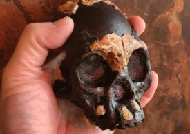 Una dintre cele mai enigmatice specii de hominid a fost descoperită în Africa de Sud. Era contemporană cu primii oameni moderni