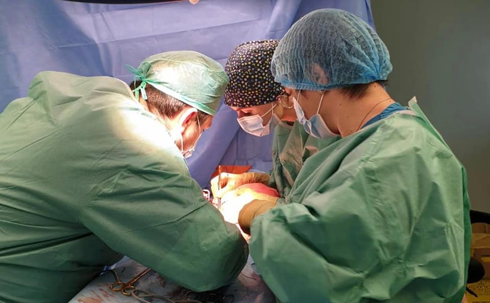 Rinichi înghețați, utilizați și după 100 de zile: o premieră în transplantul de organe!