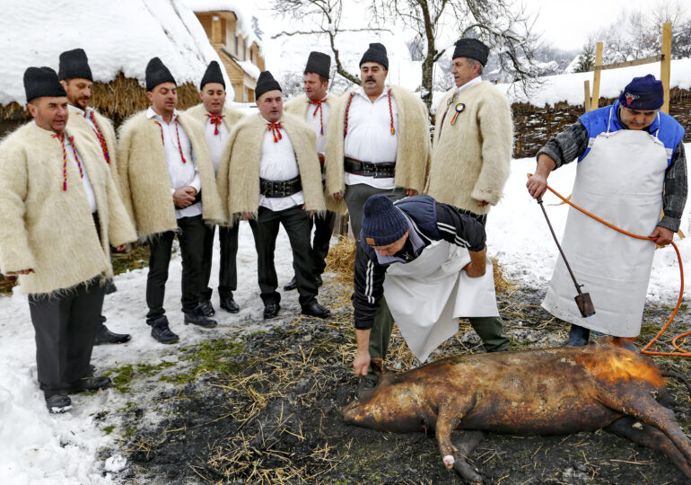 Viktor Orban vine la tăiatul porcului în România