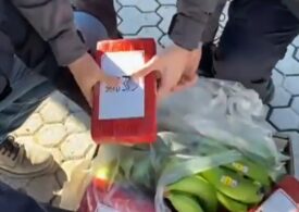 Peste trei tone de cocaină pură au fost descoperite printre banane și alune, în Calabria (Video)