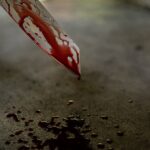 Crima dublă de la Iași: Urme de sânge au fost găsite în toate camerele vilei. Un student marocan e principalul suspect