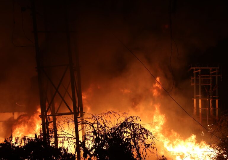Incendii de pădure în mai multe provincii din sudul Argentinei: Mii de hectare au fost distruse