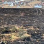 Incendiul de pe muntele Pietricica a fost stins. Au ars 20 de hectare de vegetaţie uscată (Video)