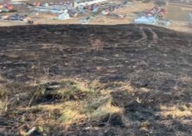 Incendiul de pe muntele Pietricica a fost stins. Au ars 20 de hectare de vegetaţie uscată (Video)