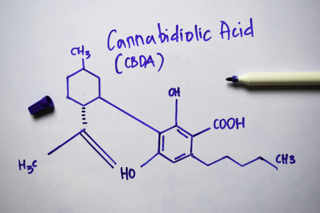 Cannabidiolic Acid (CBDA) molecule written on the 