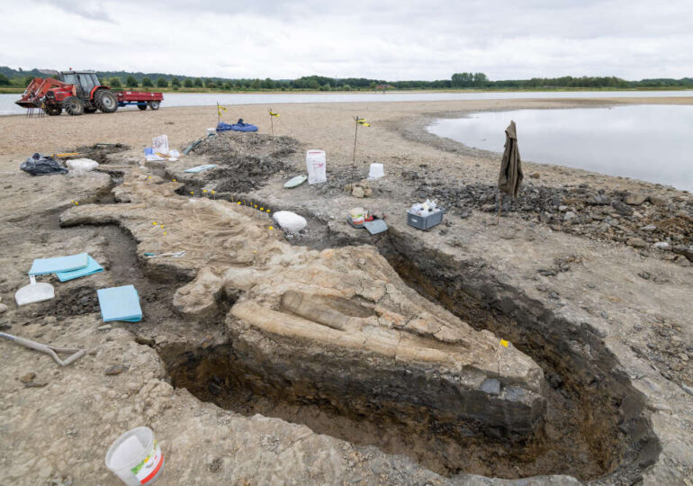 Rămășițele gigantice ale unui ”dragon al mărilor” au fost descoperite în Marea Britanie. Numai craniul măsoară 2 metri!