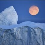 Forme neașteptate de viață găsite sub gheața din Antarctica. Există de aproape 6.000 de ani!