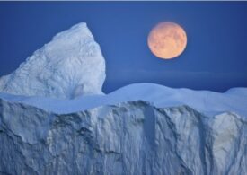 Forme neașteptate de viață găsite sub gheața din Antarctica. Există de aproape 6.000 de ani!