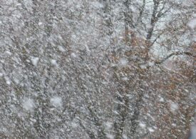 Alertă meteo de ninsori şi două coduri galbene, inclusiv pentru Bucureşti, unde scade brusc temperatura