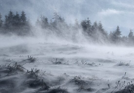 Furtuna Johannes provoacă haos în nordul Europei: rafale violente de vânt, pene masive de curent și căi de transport blocate