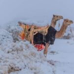 A nins în Arabia Saudită. Imagini cu localnici cântând şi dansând au devenit virale (Video)