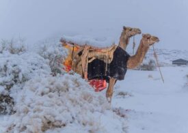 A nins în Arabia Saudită. Imagini cu localnici cântând şi dansând au devenit virale (Video)