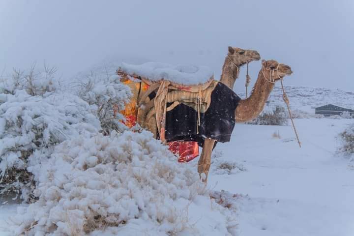 A nins în Arabia Saudită. Imagini cu localnici cântând şi dansând au devenit virale (Video)