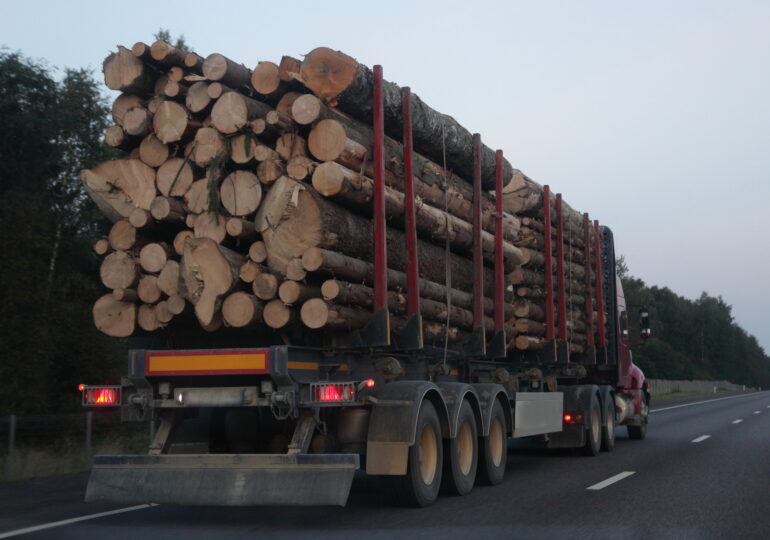 Exploatarea lemnului va fi interzisă pe timp de noapte, pentru a reduce tăierile ilegale