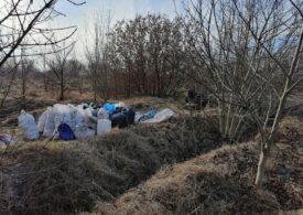A început curățenia în Parcul Văcărești, preluat de Primăria Capitalei (Foto)