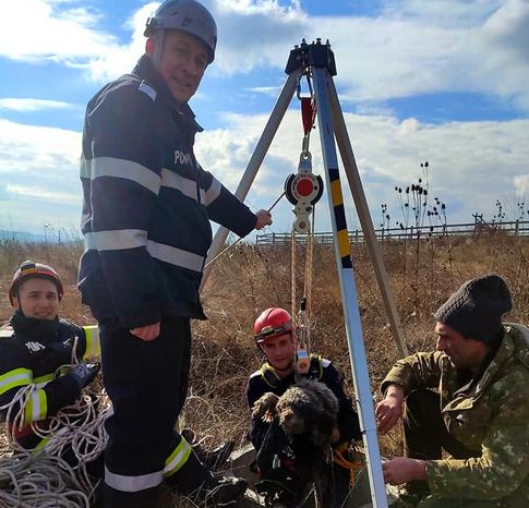 Un cățel a fost salvat de pompieri dintr-un puț adânc de 12 metri (Video)
