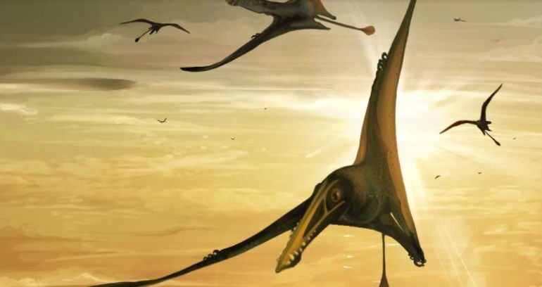 Cel mai mare pterozaur descoperit vreodată, găsit de o studentă în Scoția