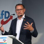 AfD Germania extrema dreaptă