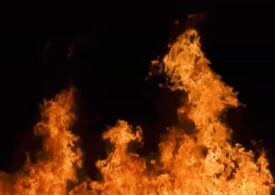Incendiu întins pe zeci de hectare în comuna Valea Călugărească (Video)