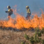 Avem cele mai puţine incendii de vegetaţie din antichitate încoace, dar nu este o veste bună