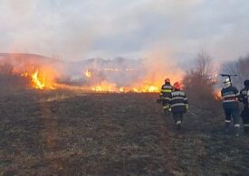 Incendiu de vegetaţie în Buzău: 500 ha afectate de focul care se extinde din cauza vântului