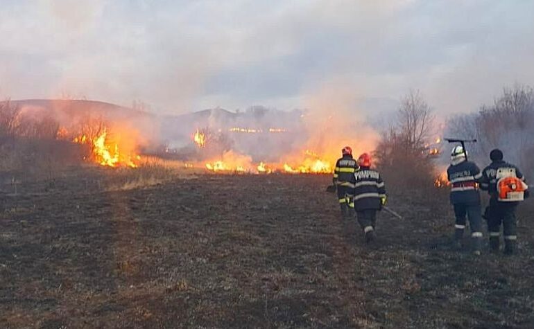 Incendiu de vegetaţie în Buzău: 500 ha afectate de focul care se extinde din cauza vântului