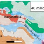 Un vechi continent dispărut era un veritabil câmp de bătaie pentru mamiferele străvechi. A fost poarta lor de intrare în Europa