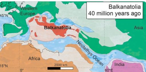 Un vechi continent dispărut era un veritabil câmp de bătaie pentru mamiferele străvechi. A fost poarta lor de intrare în Europa