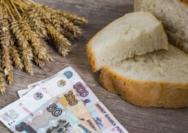 Rusia suspendă exporturile de cereale, ca să acopere consumul intern